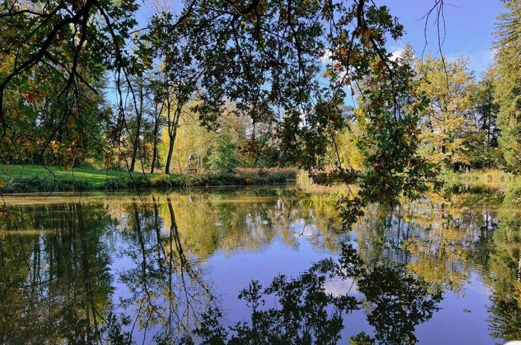Private pond with pavilion on the Grand Geneva estate