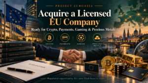 Licensed Payment Company for Sale in Europe: An Acquiring Licence, Ready to Operate